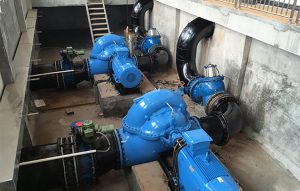 Horizontal Centrifugal Pumps for Water Supply Company
