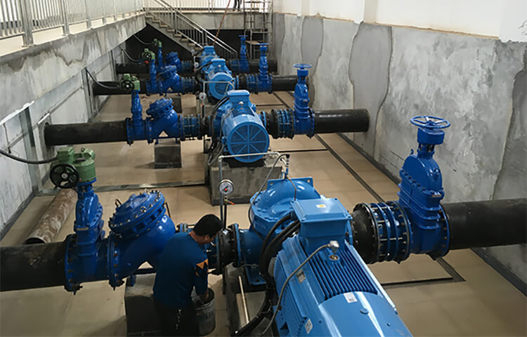 Horizontal Centrifugal Pumps for Water Supply Company in Philippines
