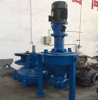 Froth Pump For Flotation Industry And Mining