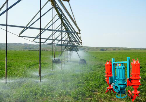 Como escolher uma bomba submersível para irrigação agrícola